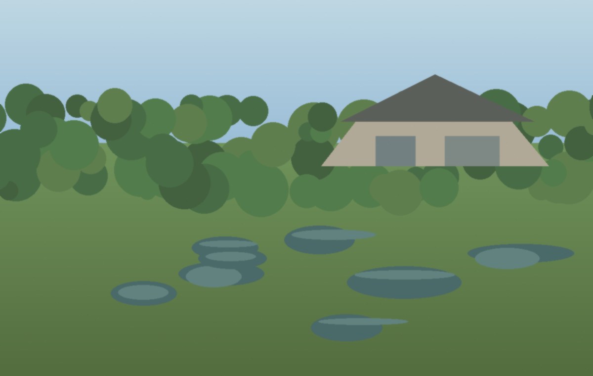 Local yard condition relevant to French drain installation in Cary